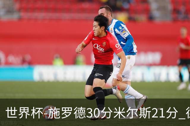 世界杯-施罗德30分米尔斯21分 德国胜澳大利亚