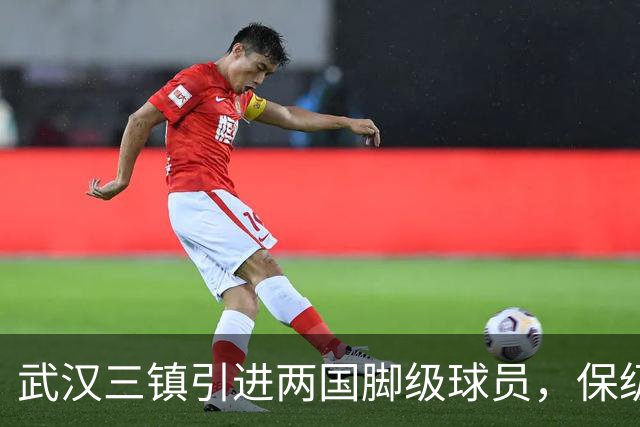 武汉三镇引进两国脚级球员，保级前景乐观